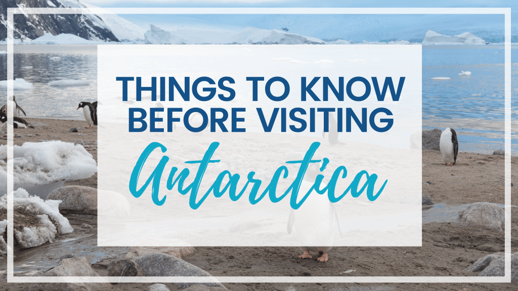 In order to make the most of your journey, there are a few things to know before visiting Antarctica. Discover tips to ensure you have an amazing adventure! #antarctica #antarcticatips
