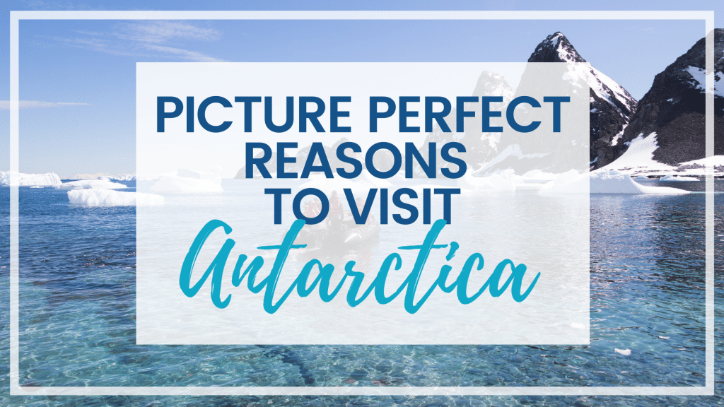 Discover the many reasons to visit Antarctica, and what to expect when you get there. From impressive icebergs to playful penguins and more! #antarctica