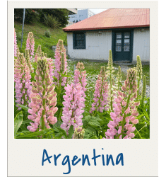 Argentina. Discover travel tips and wanderlust inspiration for destinations all over the globe! Search by continent, country, or state to find what you're looking for with The Scenic Suitcase!