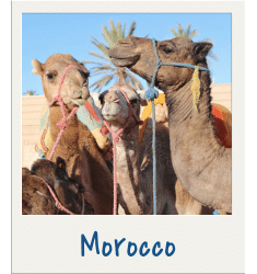 Morocco. Discover travel tips and wanderlust inspiration for destinations all over the globe! Search by continent, country, or state to find what you're looking for with The Scenic Suitcase!