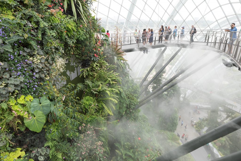 Mist along a catwalk at the Cloud Forest. One of the many reasons to visit Singapore. #singapore #cloudforest