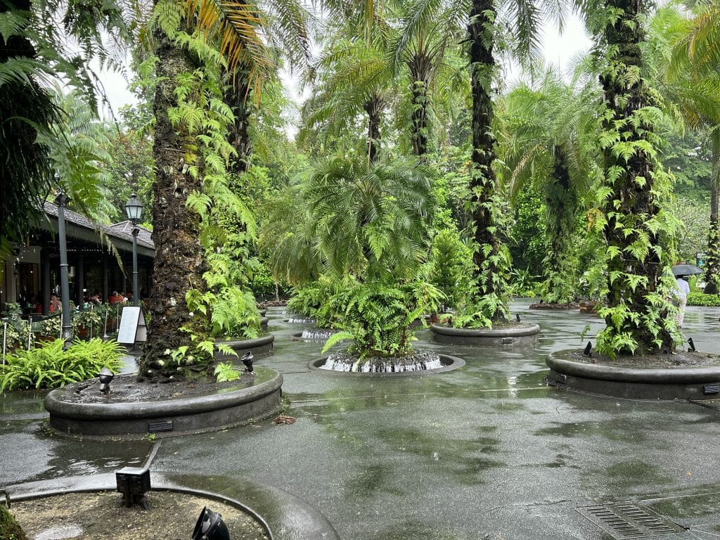 Trees in waterfall planters during a rainstorm at the Singapore Botanic Gardens.
