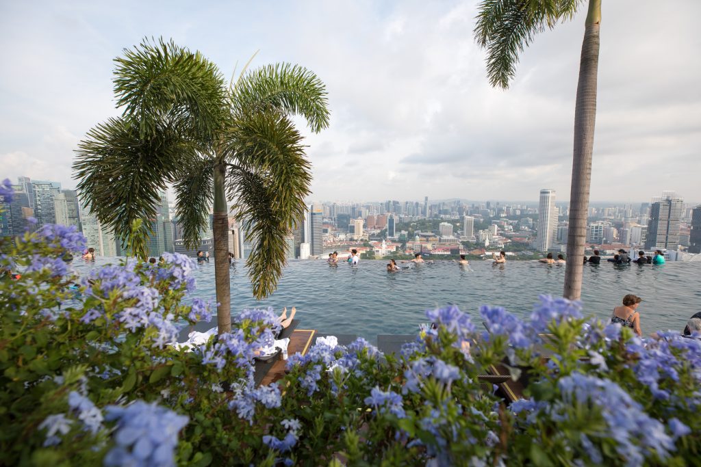 Palm trees and flowers at the Marina Bay Sands pool. #singapore #marinabaysands