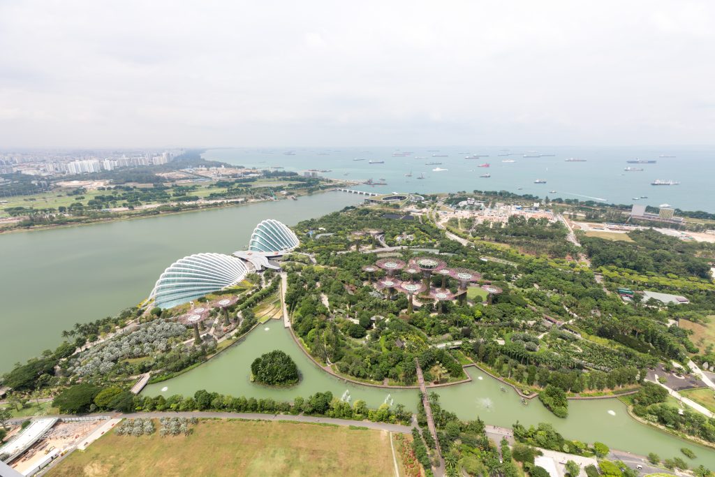 An aerial view of the Cloud Forest and Supertree Grove in Singapore from the top of the Marina Bay Sands hotel. #singapore #marinabaysands