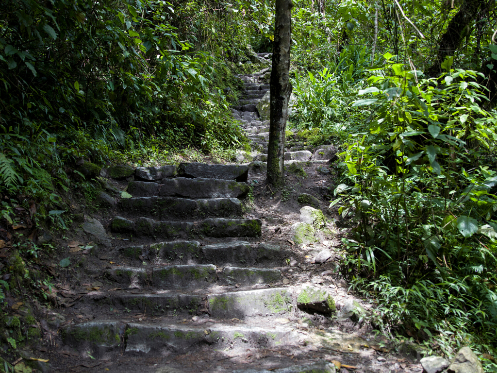 A wooded stone path to Machu Picchu.