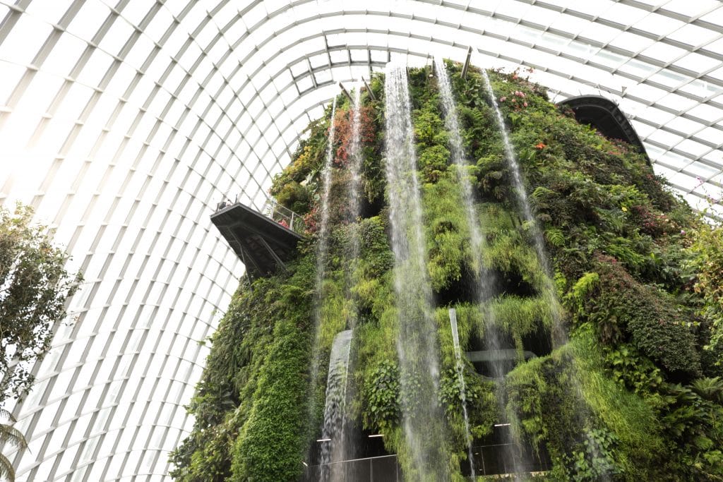 Waterfalls and a glass rooftop inside the Cloud Forest in Singapore.