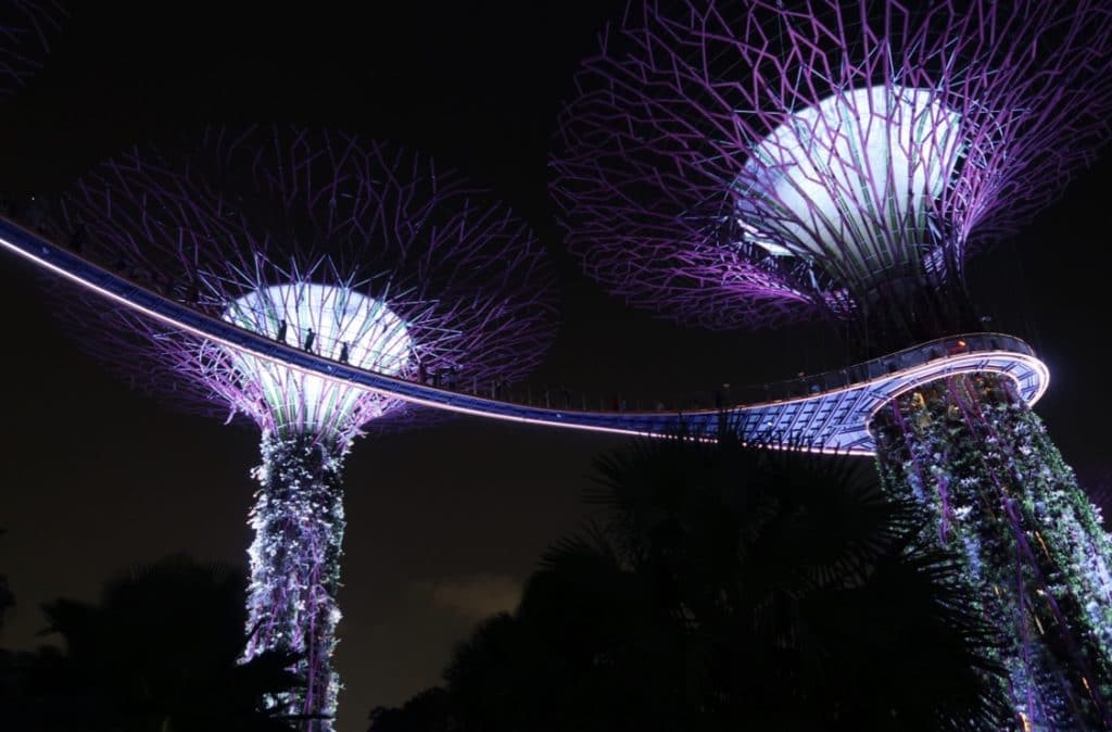 The Supertree Grove lit up with purple lights in Singapore at night.