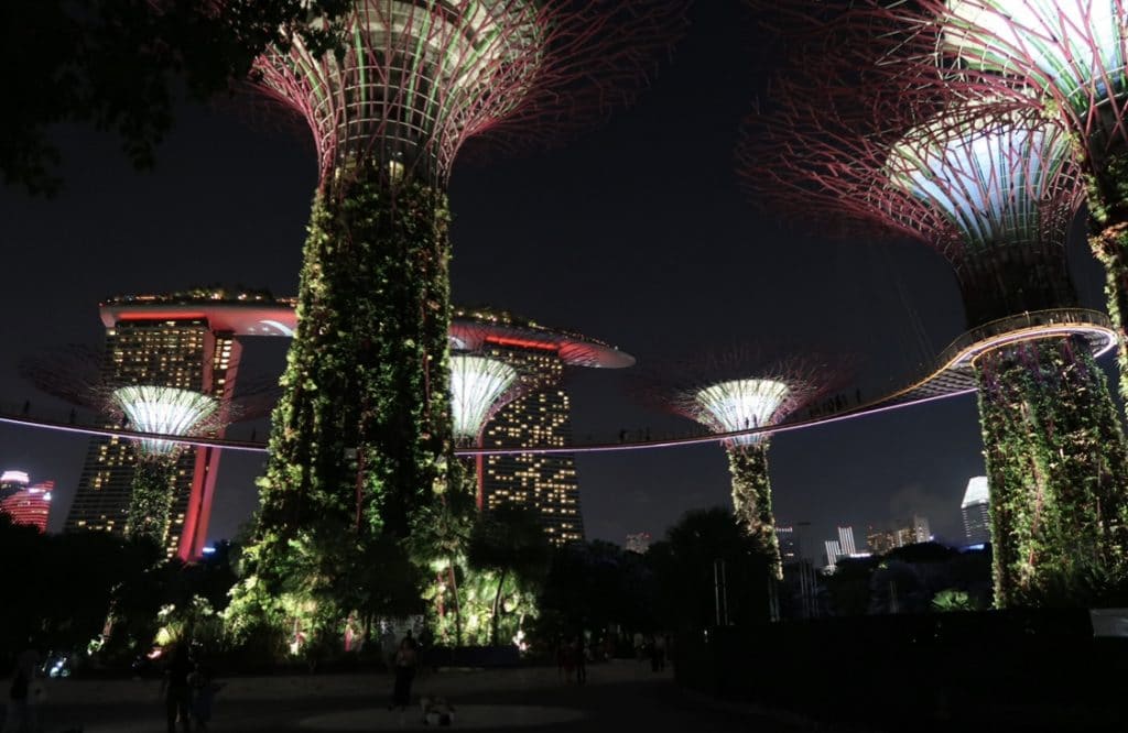 Red lit up treetops at the Supertree Grove in Singapore at night.