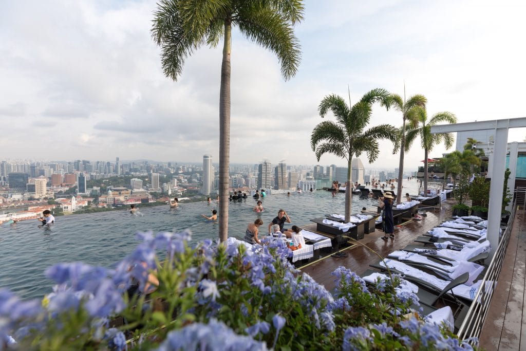 Flowers and palm trees at the rooftop infinity pool at the Marina Bay Sands Singapore.