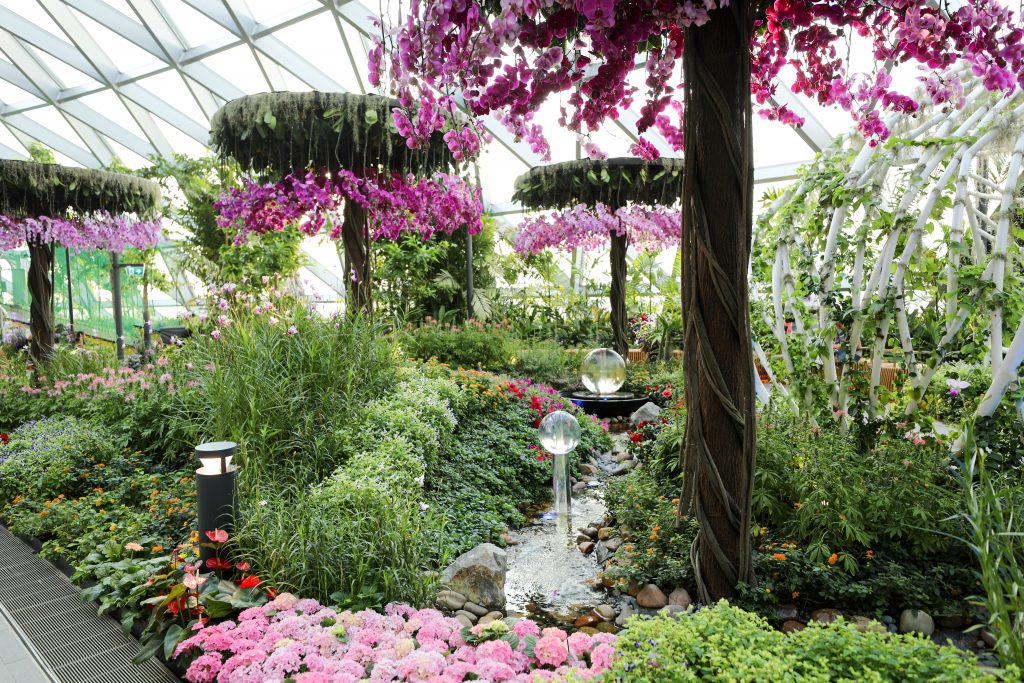 A floral path in the Changi Airport's Canopy Park. #changiairport #canopypark