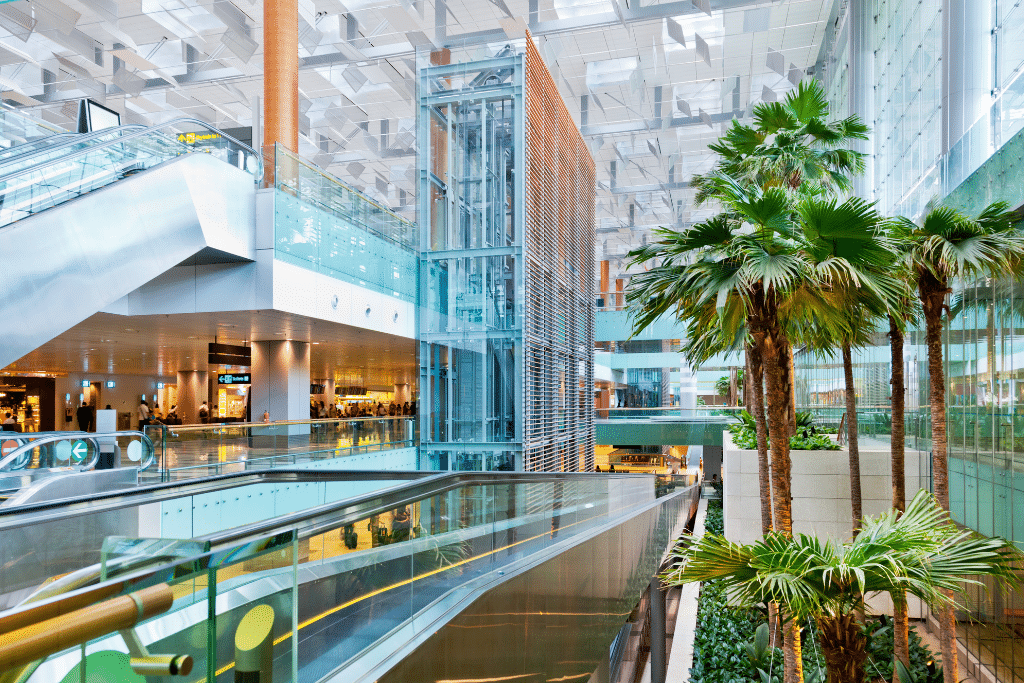 Trees and walkways in Changi Airport.