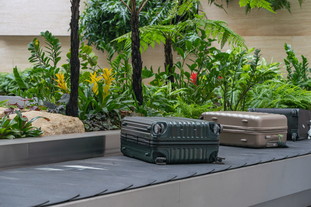 Luggage with greenery and Changi Airport's baggage claim.