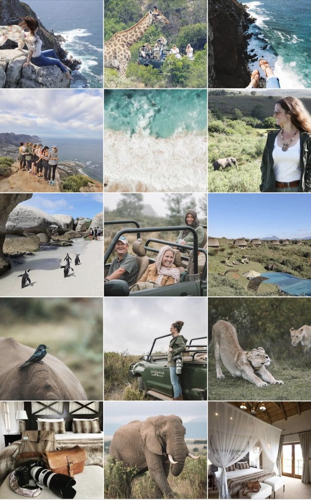An aesthetically pleasing Instagram feed of greens and browns.