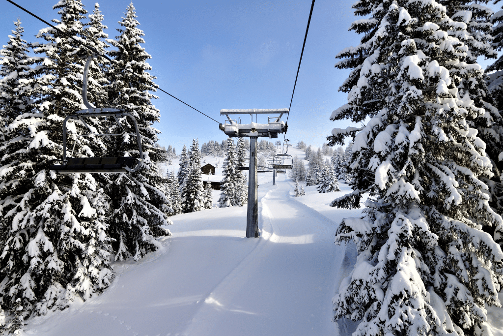 Looking up the mountain on a chairlift surrounded by snowy trees.
