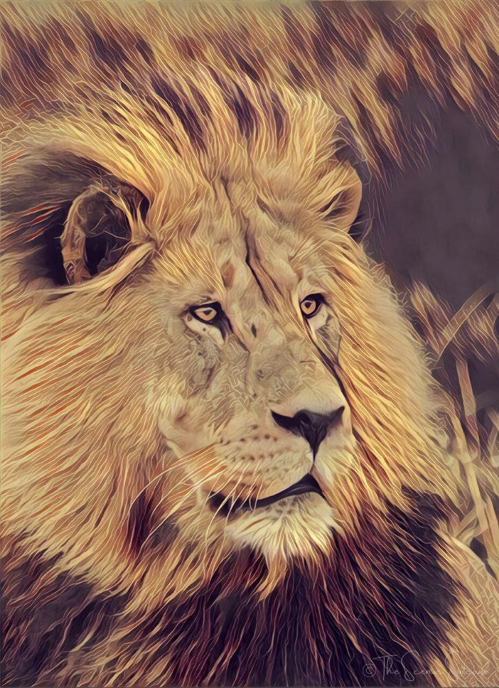 A yellow painting of a lion's face. Expert mobile photography tips to help you take incredible photos with your cell phone.