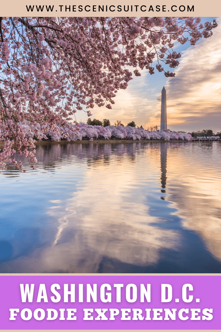 Discover delectable dishes and awesome foodie experiences in Washington, D.C. that should be at the top of your travel bucket list!