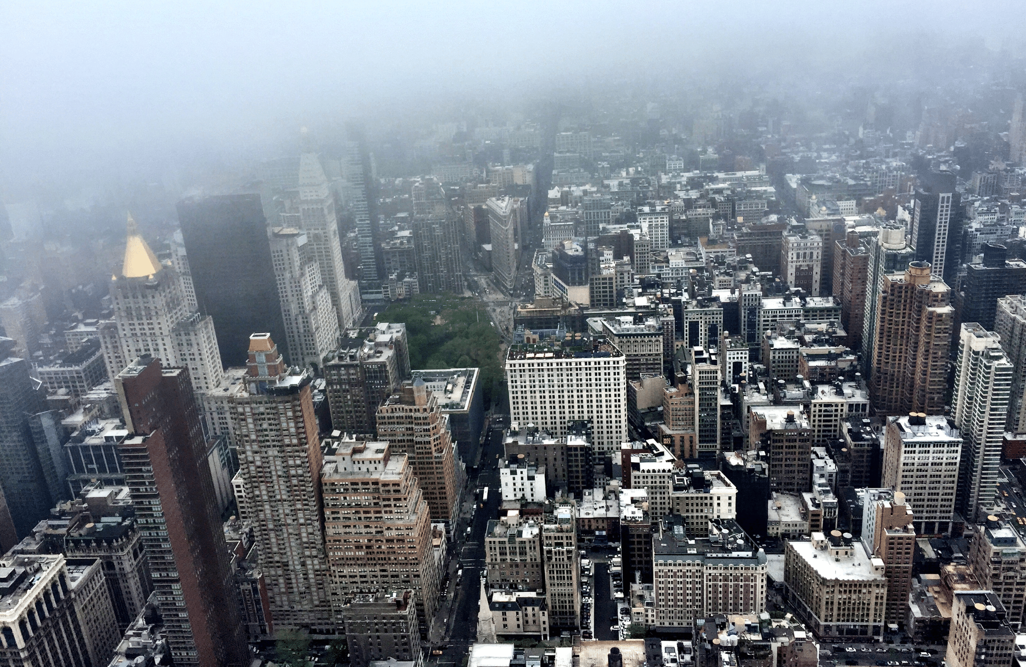 A fog hanging low over the tops of buildings in New York City.