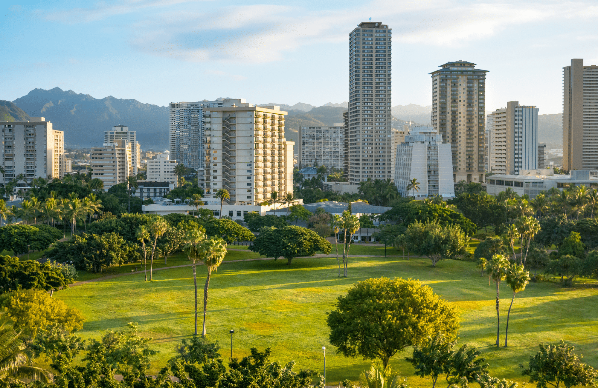 A green park with buildings in the background.