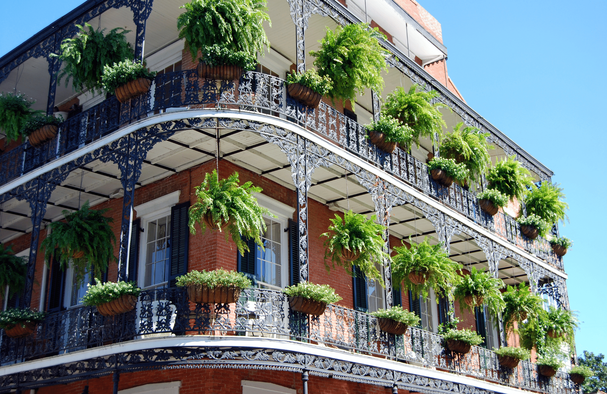 The facade of a building with plants hanging from an outdoor balcony.