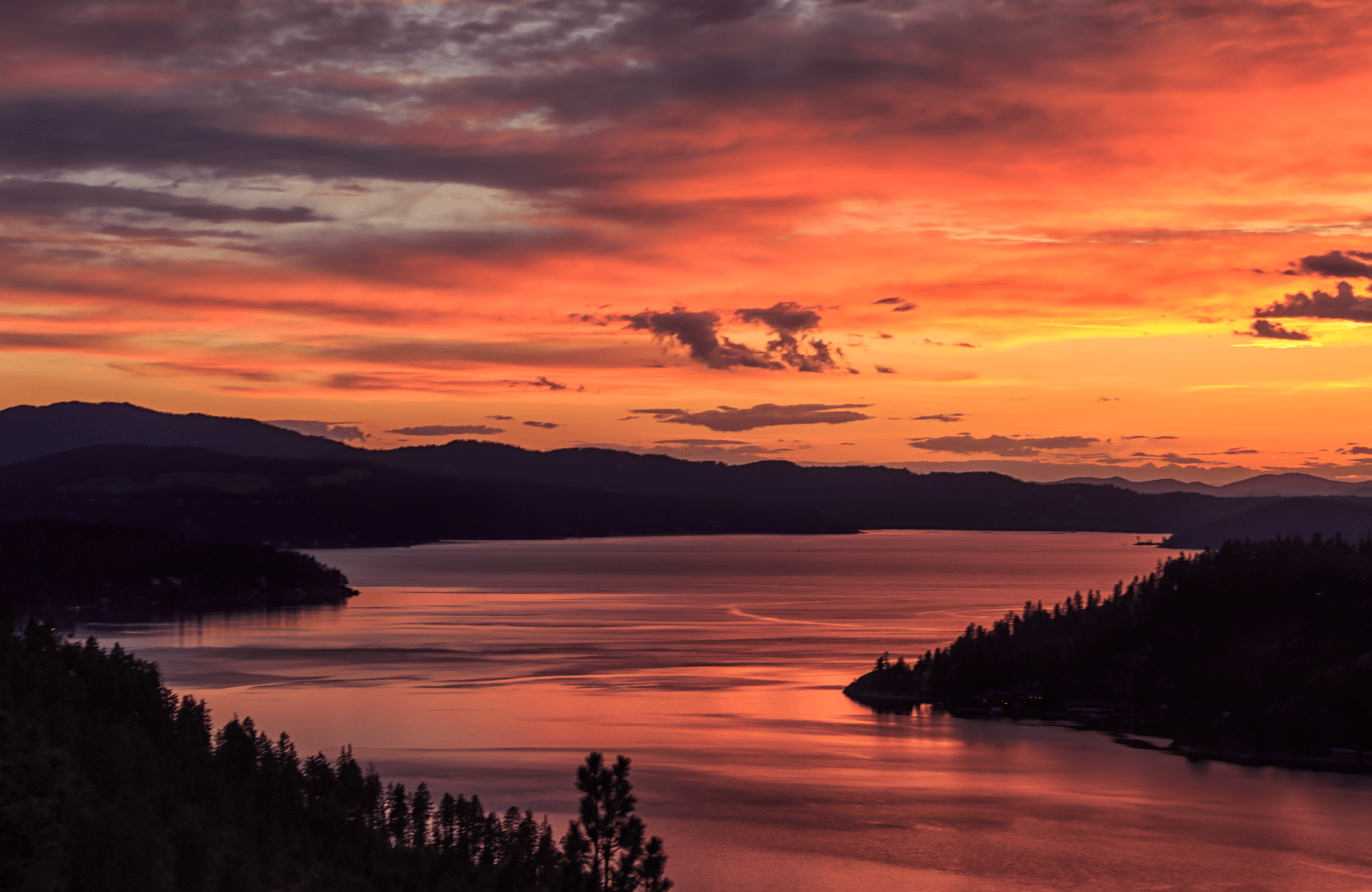 Sunset reflected in a meandering lake surrounded by the silhouettes of trees.