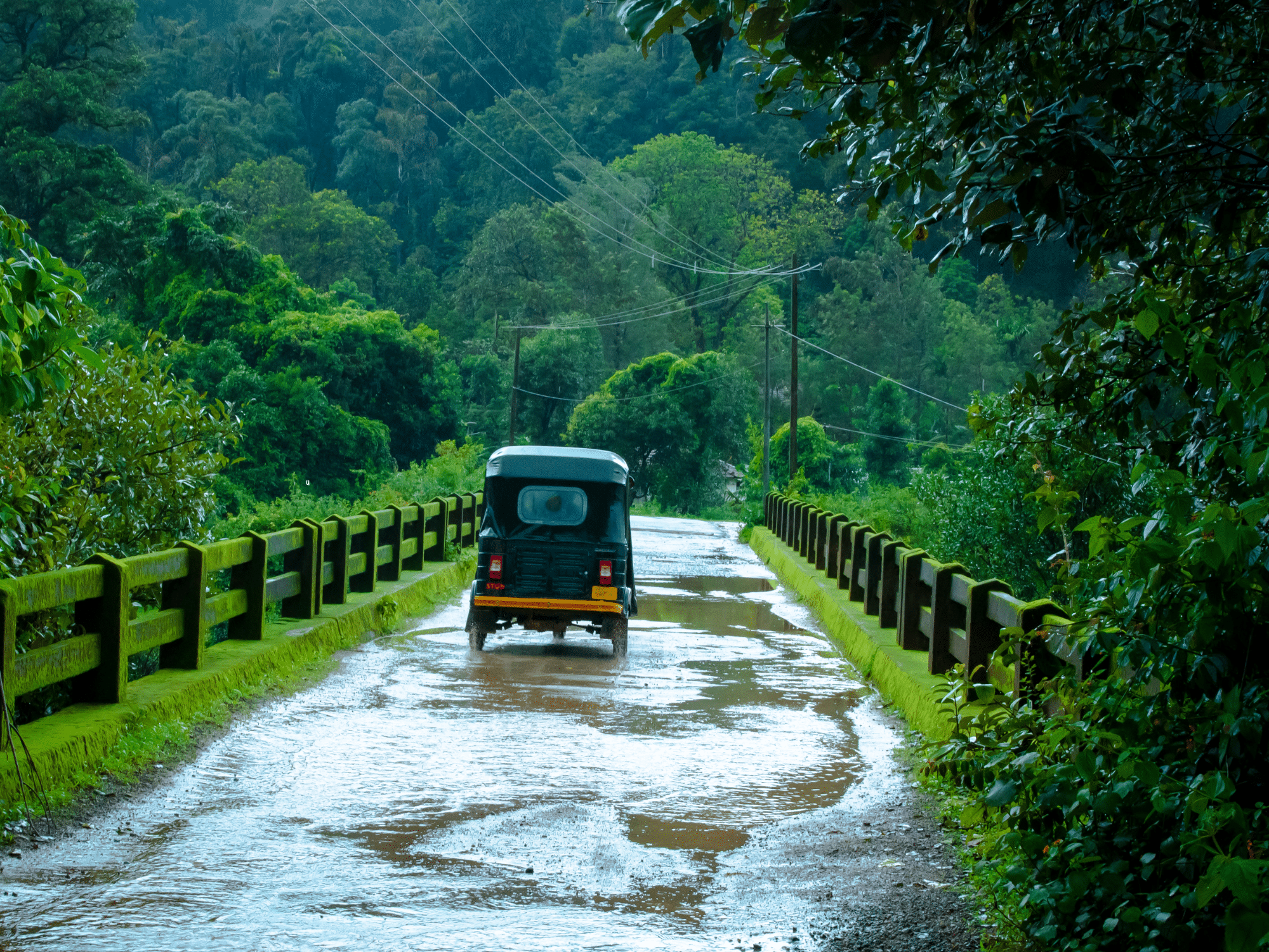 A jeep driving along a rain soaked road surrounded by lush forest.