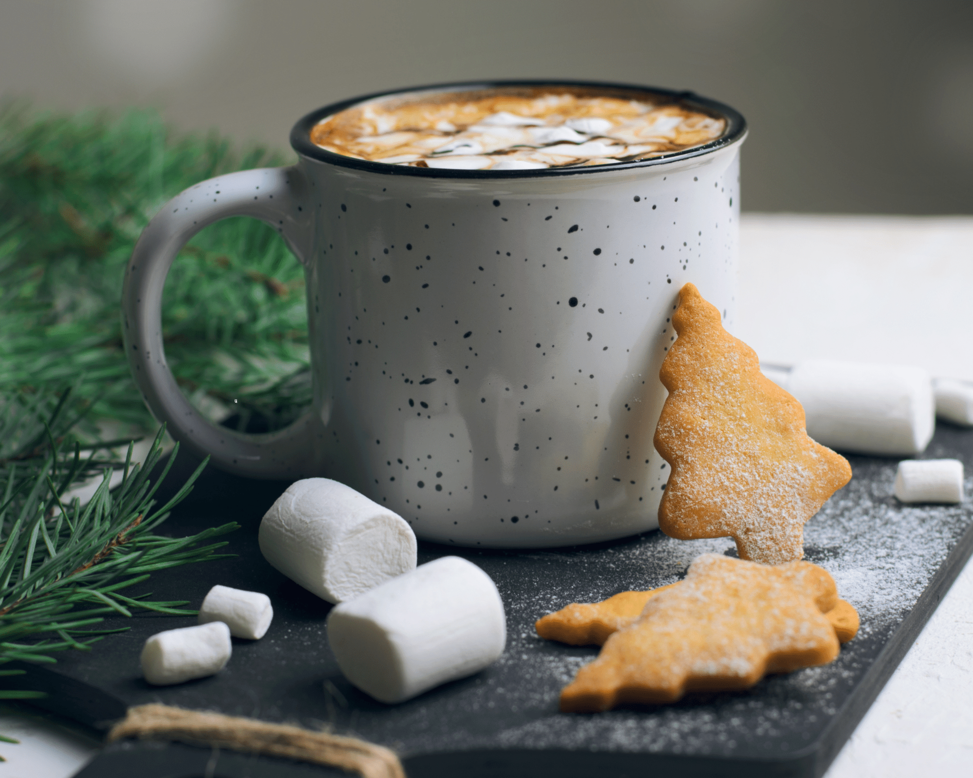 Hot cocoa in a mug next to a pine branch, marshmellows, and cookies shaped like trees.
