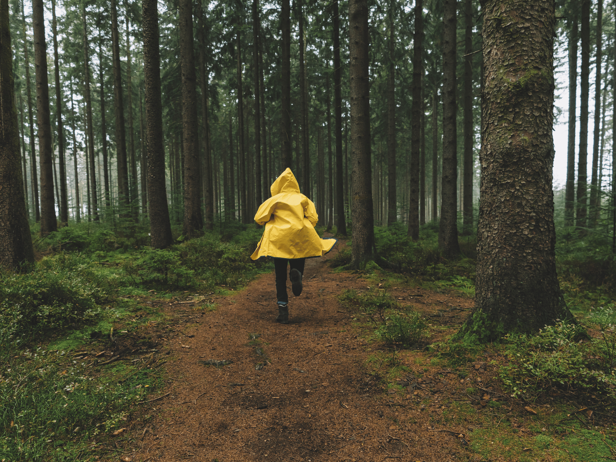 A girls in a yellow raincoat running through the woods.