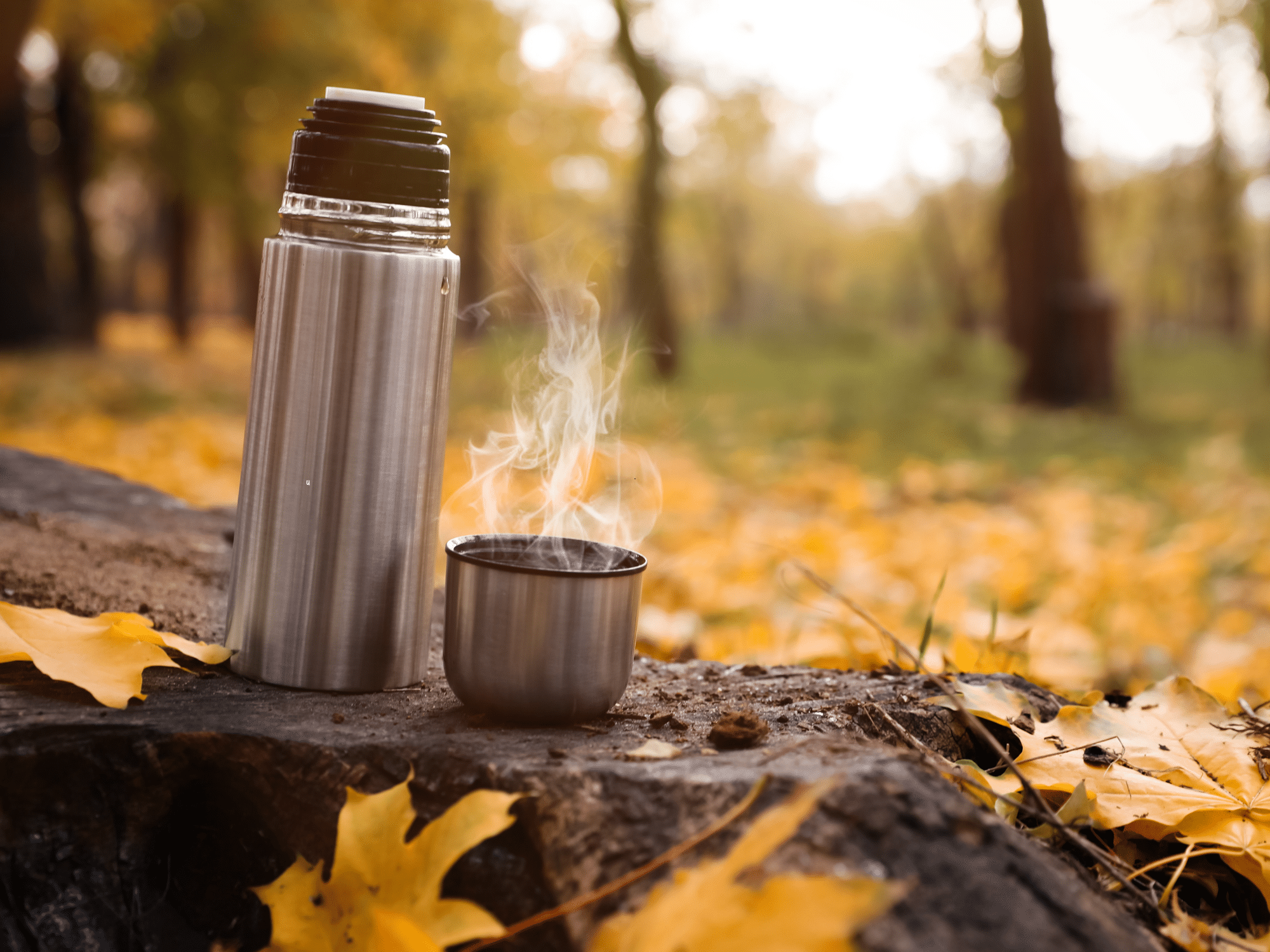 A thermo in Fall leaves. Discover essential gear to make your autumn adventure in the countryside even more amazing! 