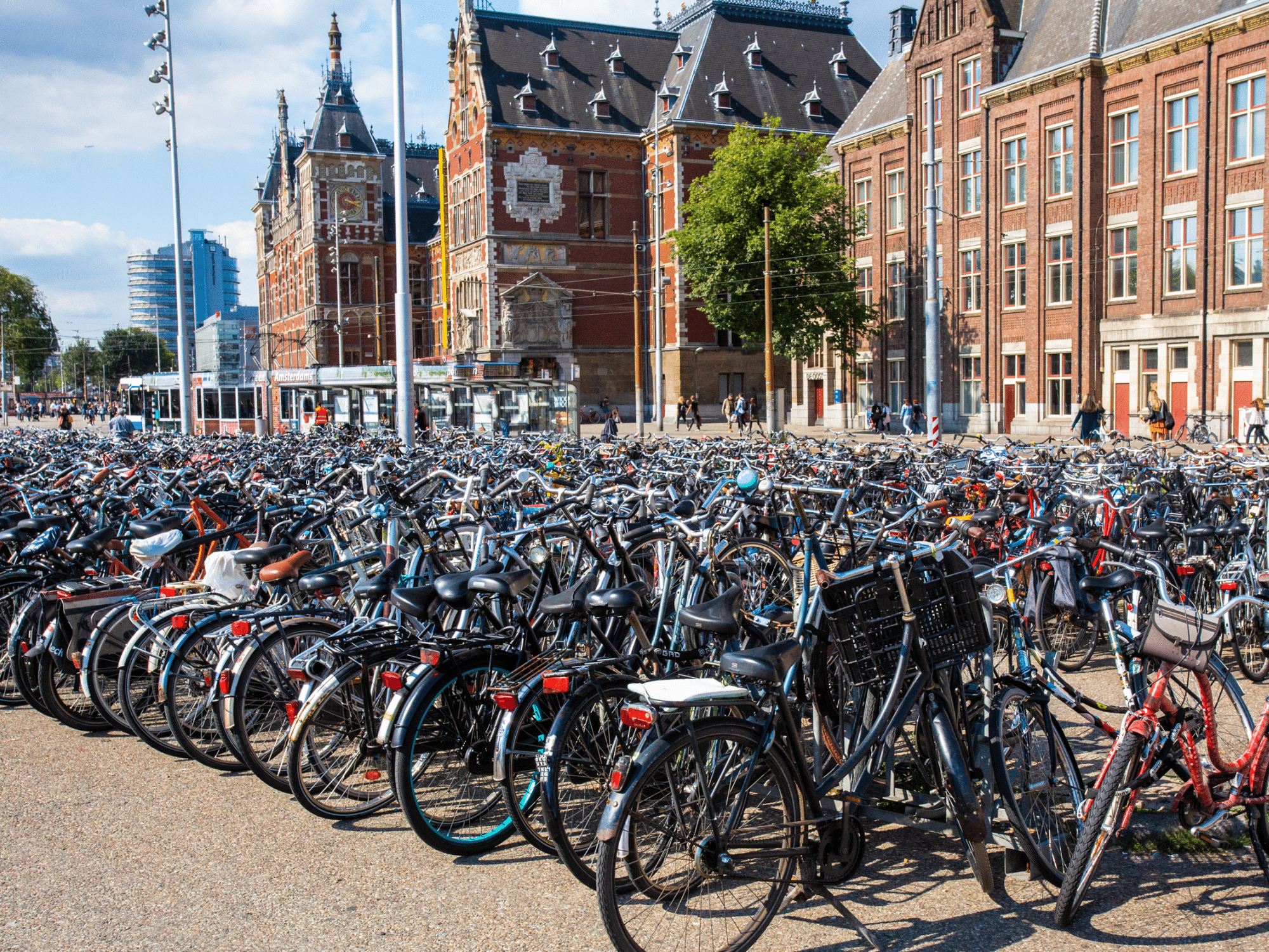 Discover the top biking destinations across Europe. From scenic rolling hills to coastal byways, these are the routes you shouldn't miss!