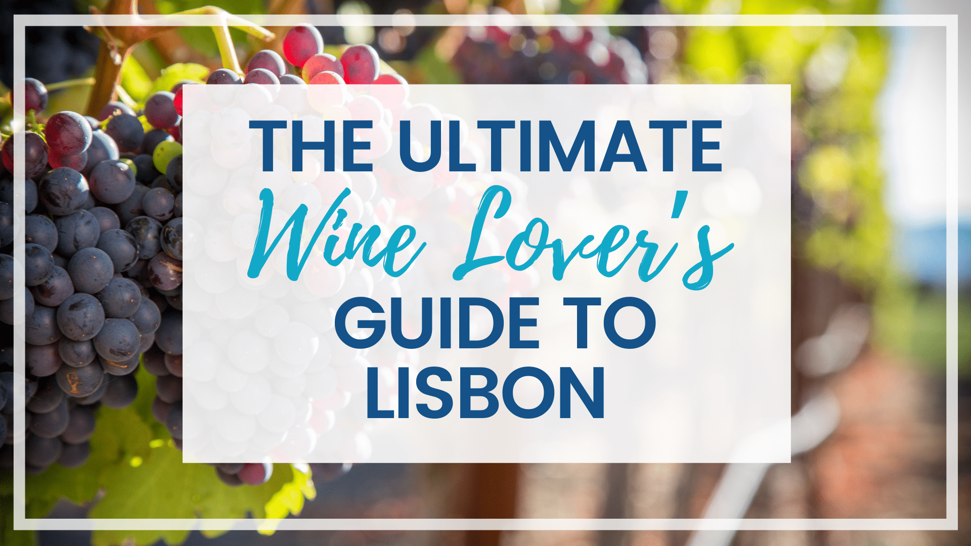 Discover the ultimate wine lover's guide to Lisbon. From luxury vineyards to exclusive tastings, here's what you shouldn't miss!